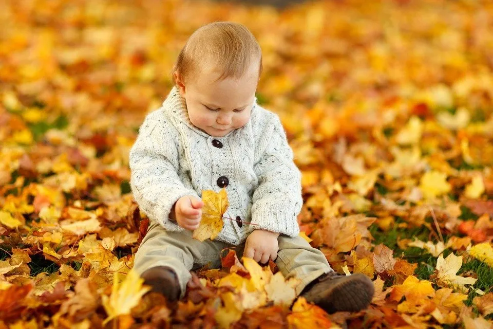 Niño jugando con hojas caídas